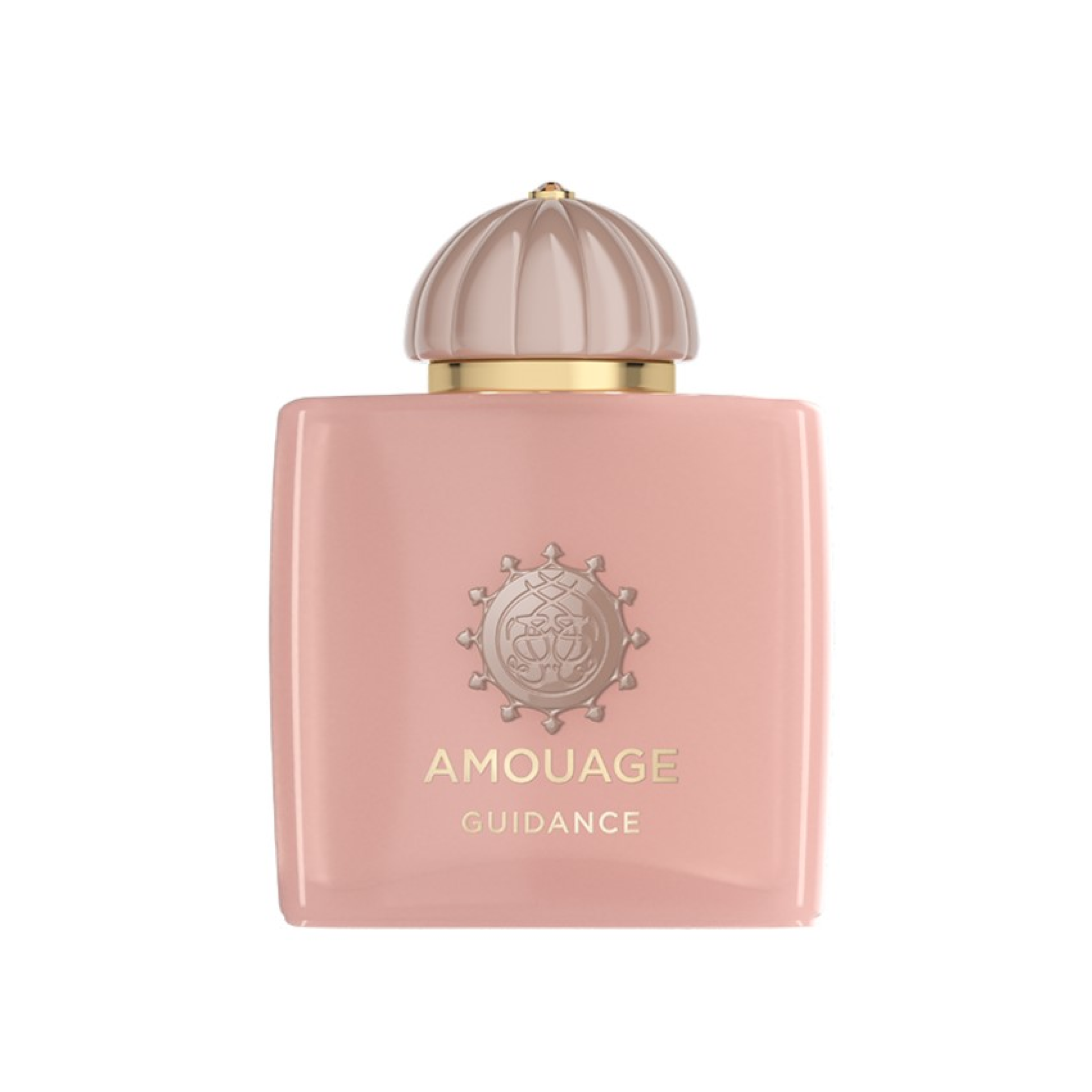 Amouage Guidance 100ml