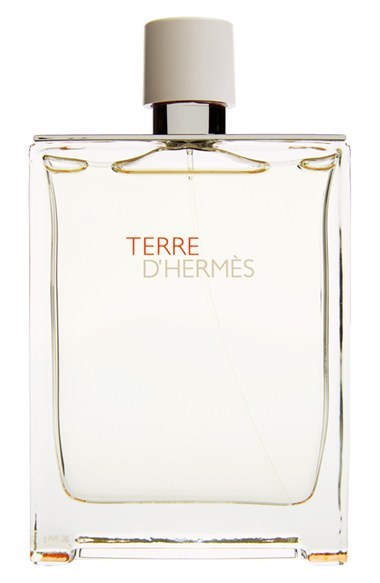 Hermes Terre D'hermes EDT 100ml